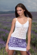 Lavender Storm: Tessa #1 of 12